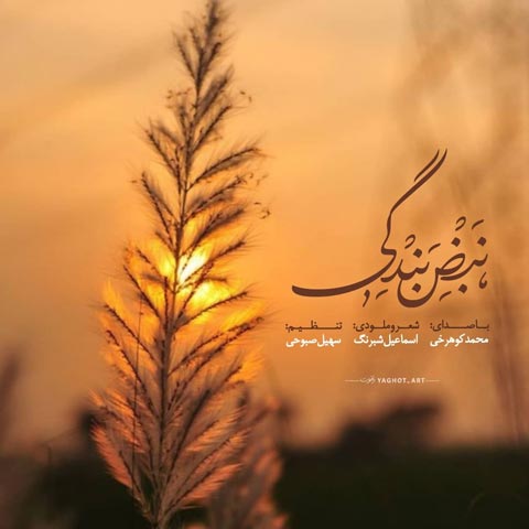 دانلود آهنگ محمد کوهرخی نبض بندگی